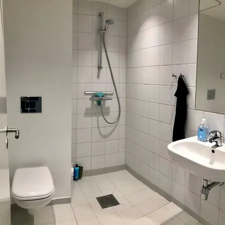 Hel Lejlighed Ved Havnen I Centrum * Ålborg
